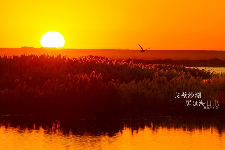 居延海日出.jpg