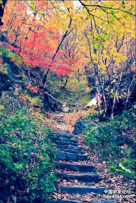 关门山景区