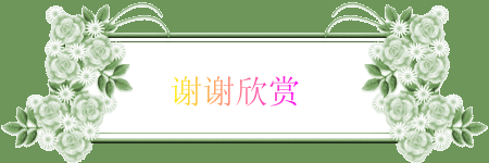 谢谢欣赏 -字.gif