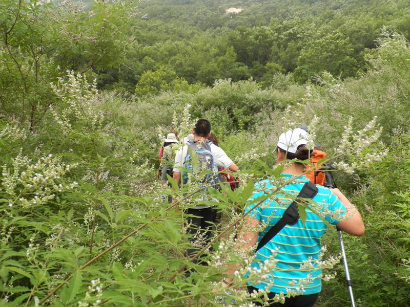 夏季进入韩信山