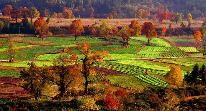 塔川田野.jpg