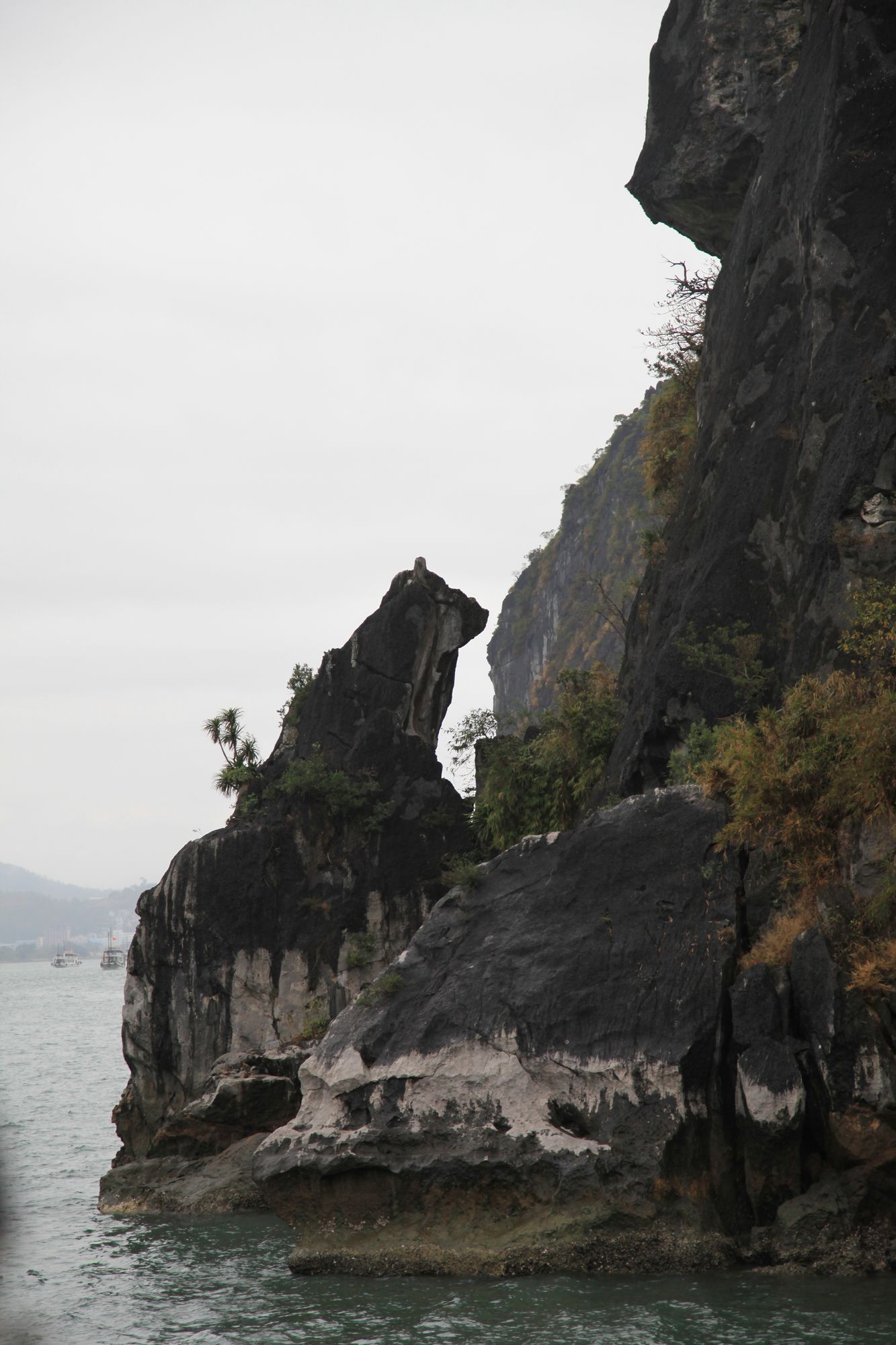 下龙湾，河内 162.jpg