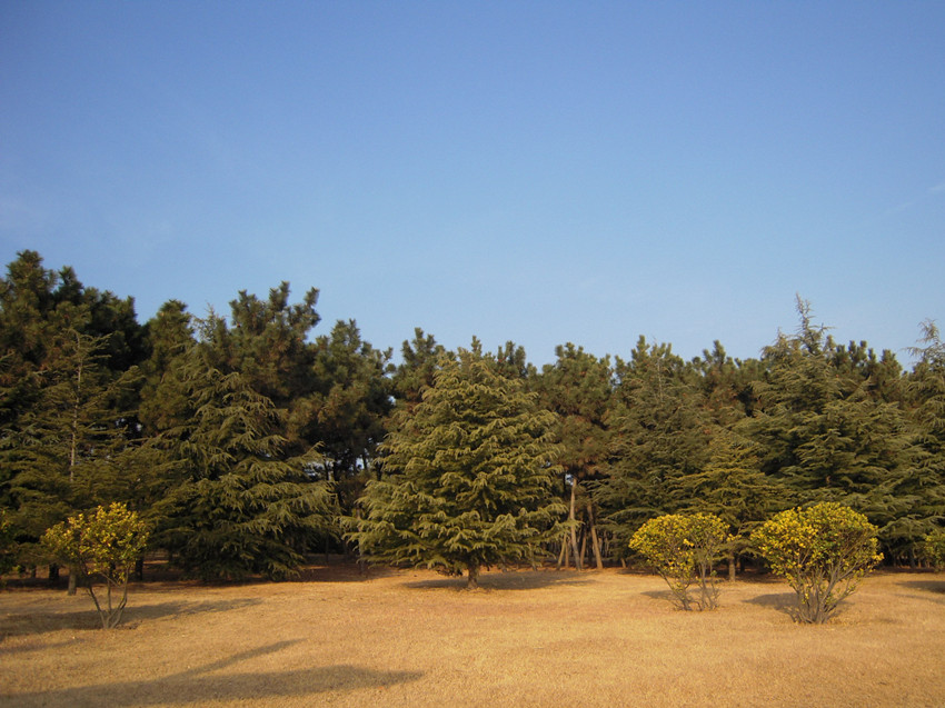 2.马山寨.jpg