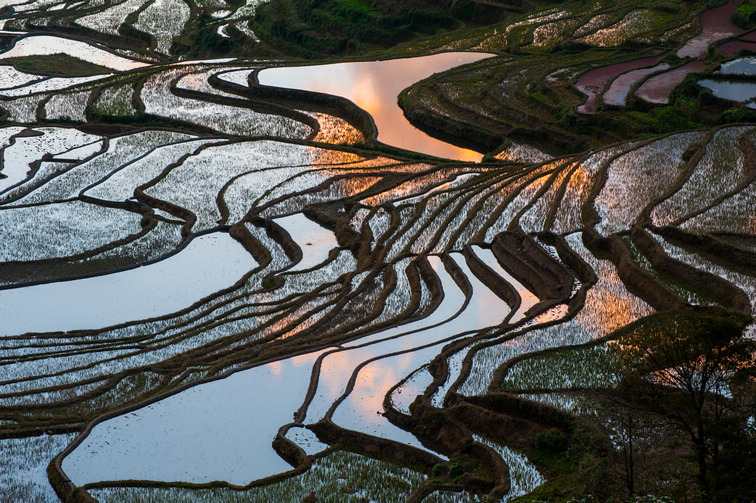 陈维海老师作品