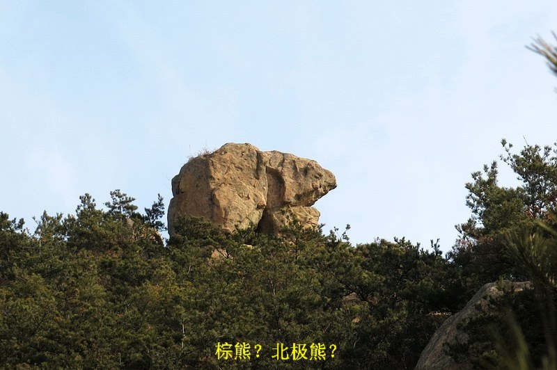 IMG_3879_缩小大小.JPG