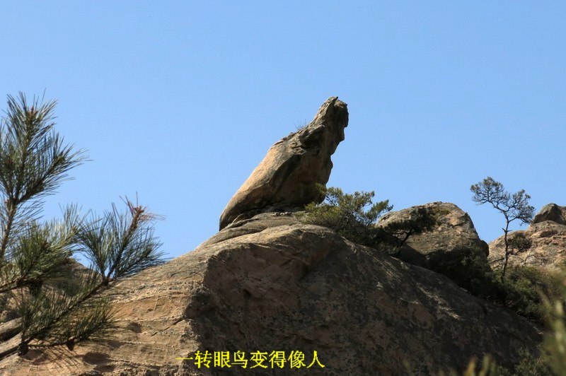 IMG_4693_缩小大小.JPG