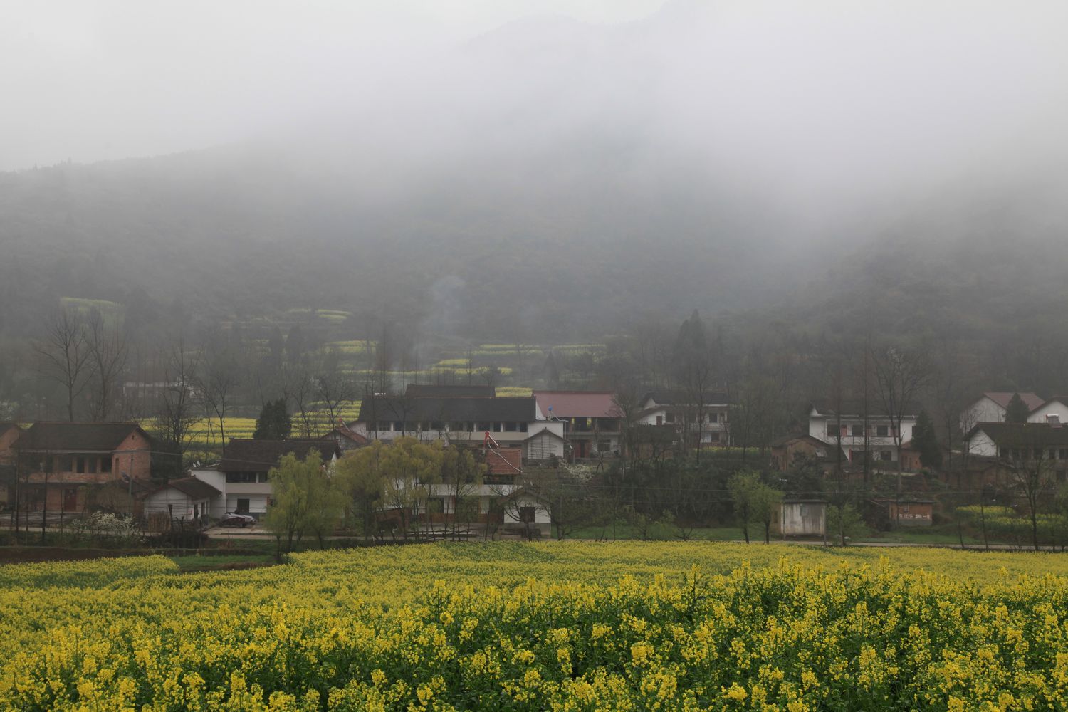 五台山，壶口瀑布等 1145.jpg