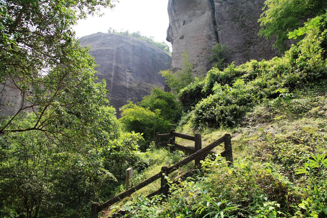 海南，厦门，武夷山 741.jpg