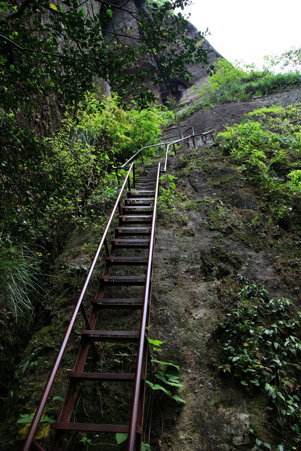 海南，厦门，武夷山 744.jpg