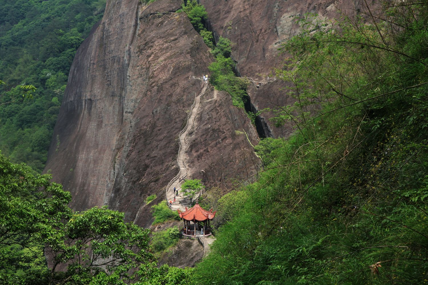 海南，厦门，武夷山 762.jpg