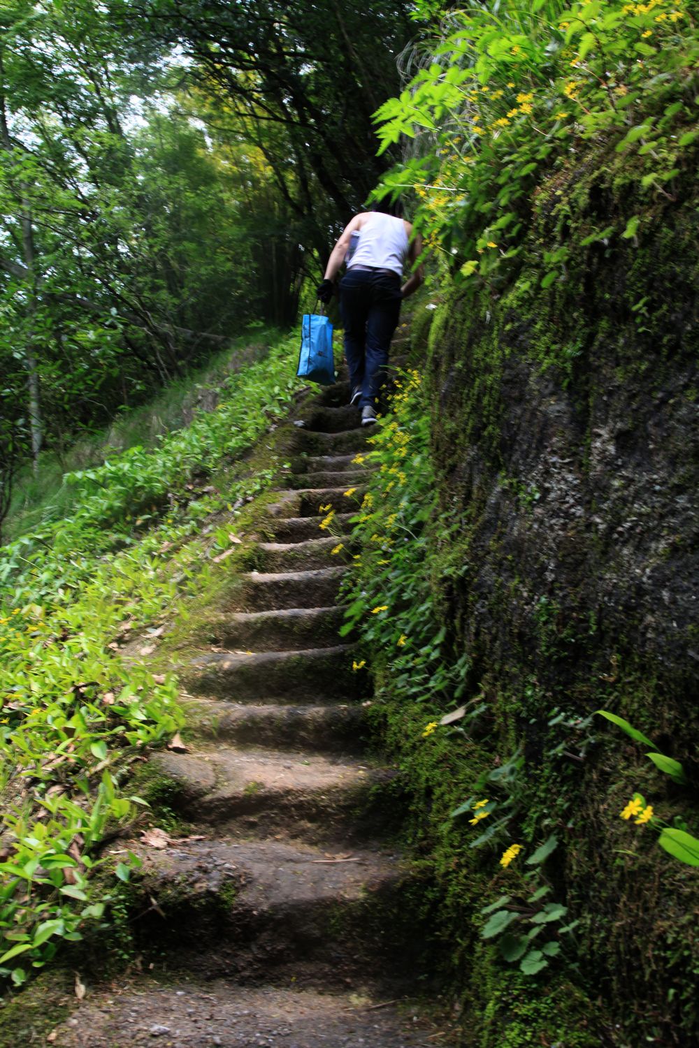 海南，厦门，武夷山 767.jpg