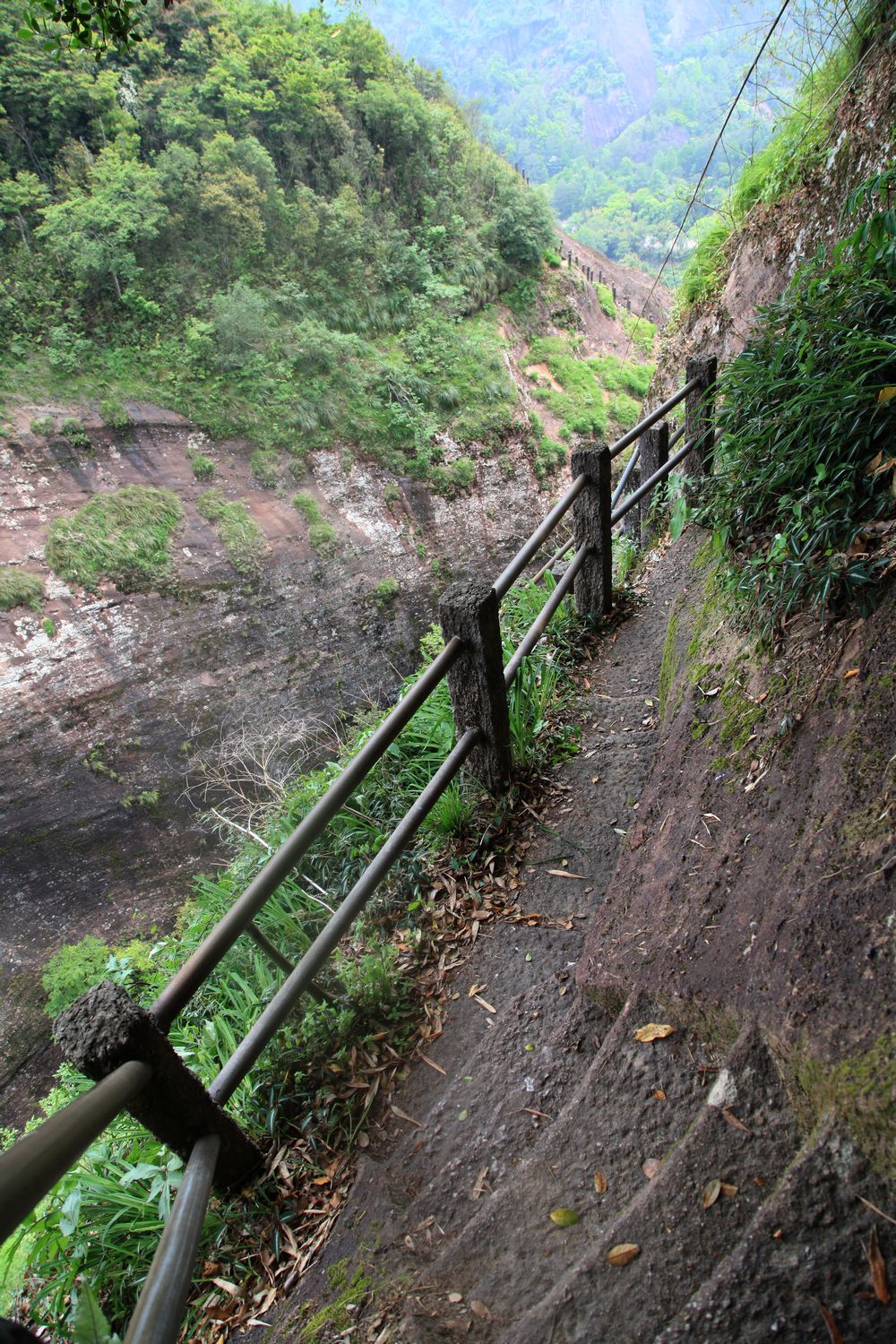 海南，厦门，武夷山 773.jpg