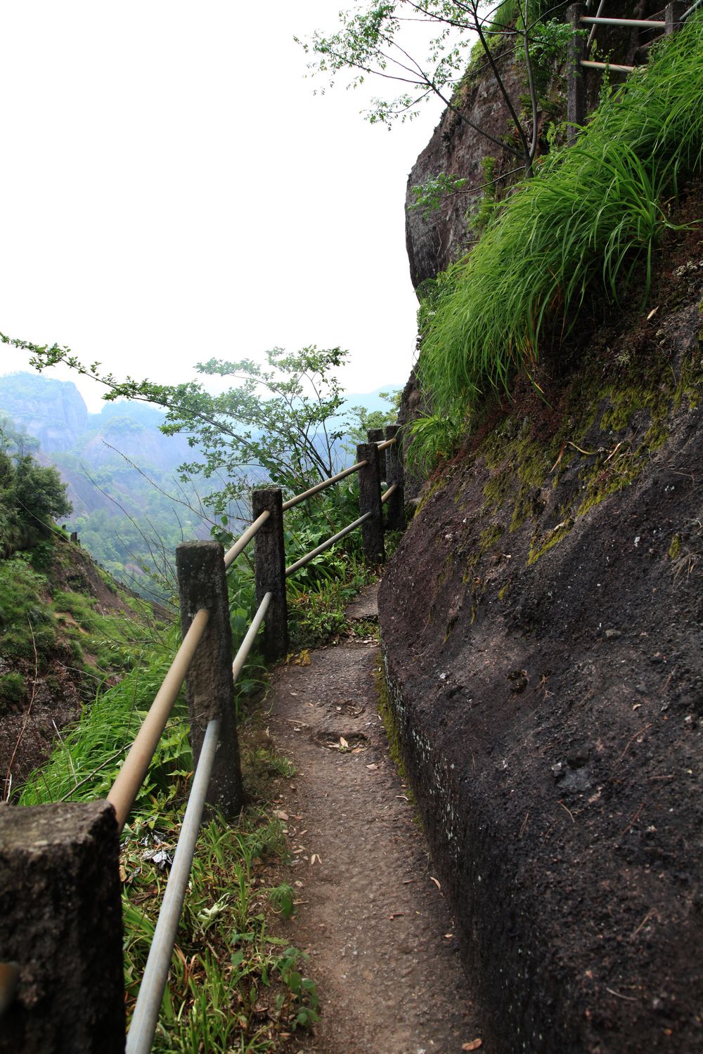 海南，厦门，武夷山 774.jpg