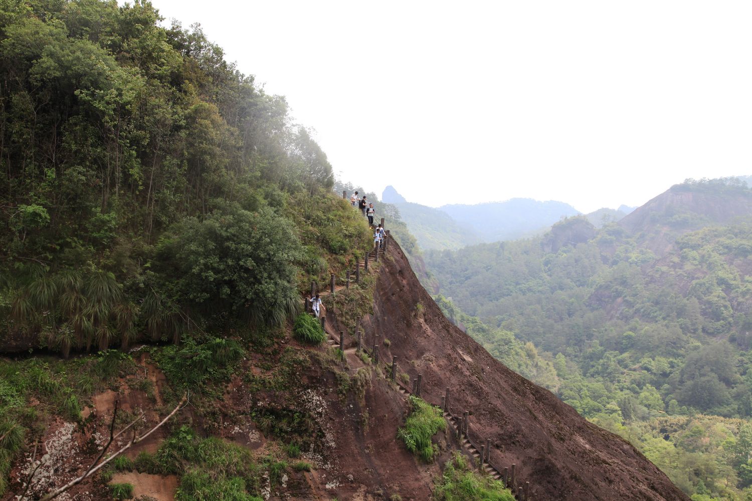 海南，厦门，武夷山 775.jpg