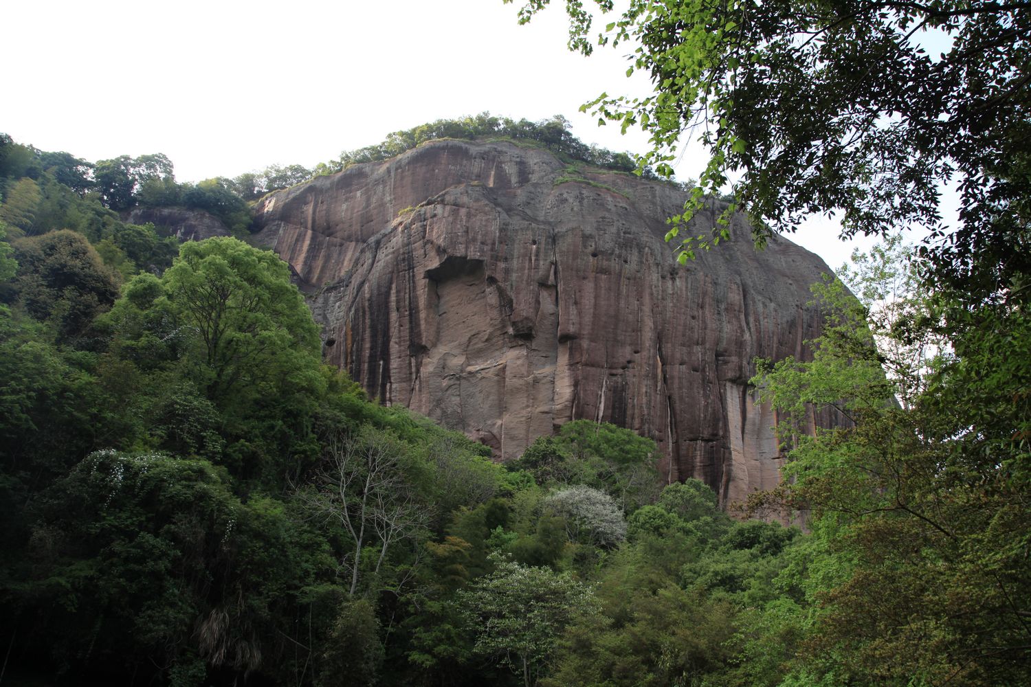 海南，厦门，武夷山 865.jpg