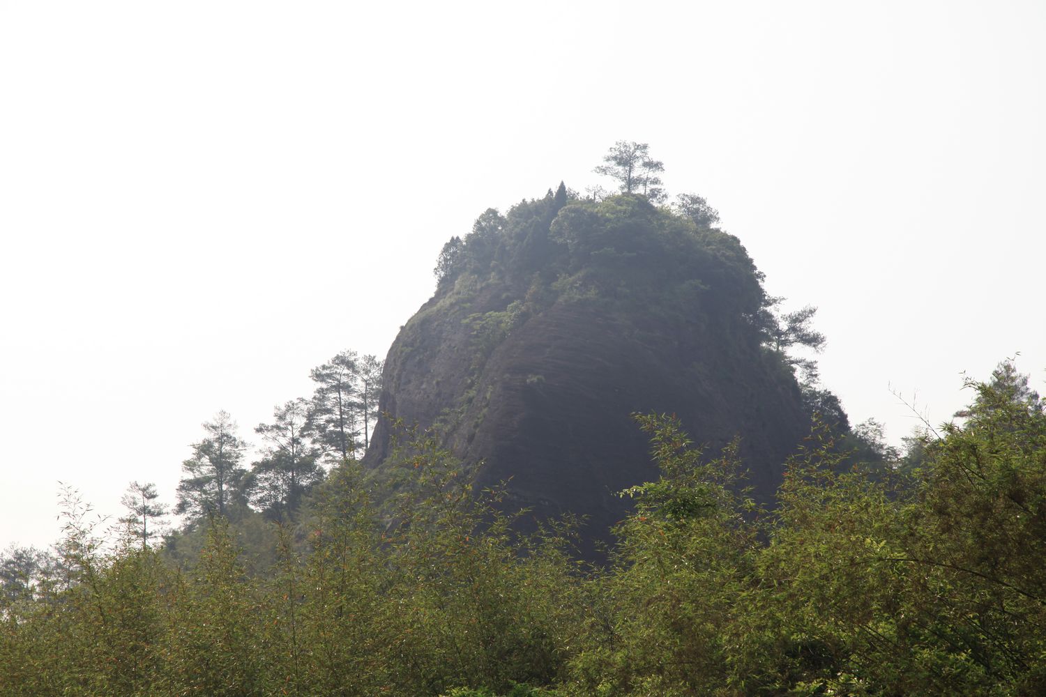 海南，厦门，武夷山 906.jpg