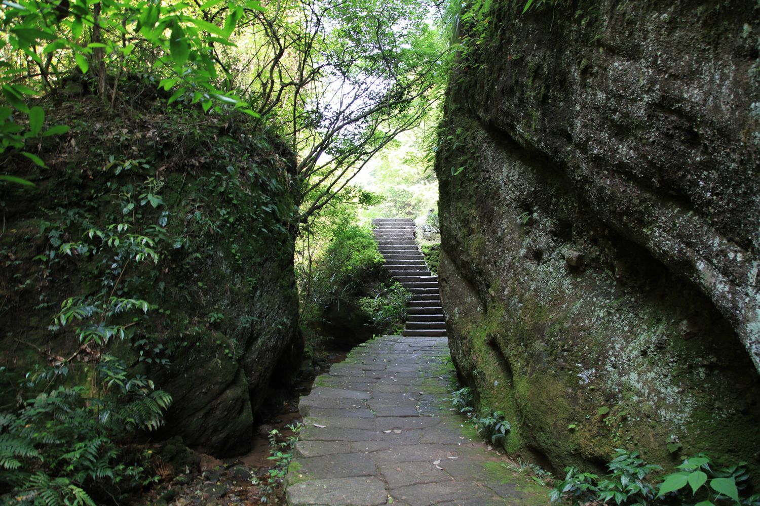 海南，厦门，武夷山 1076.jpg