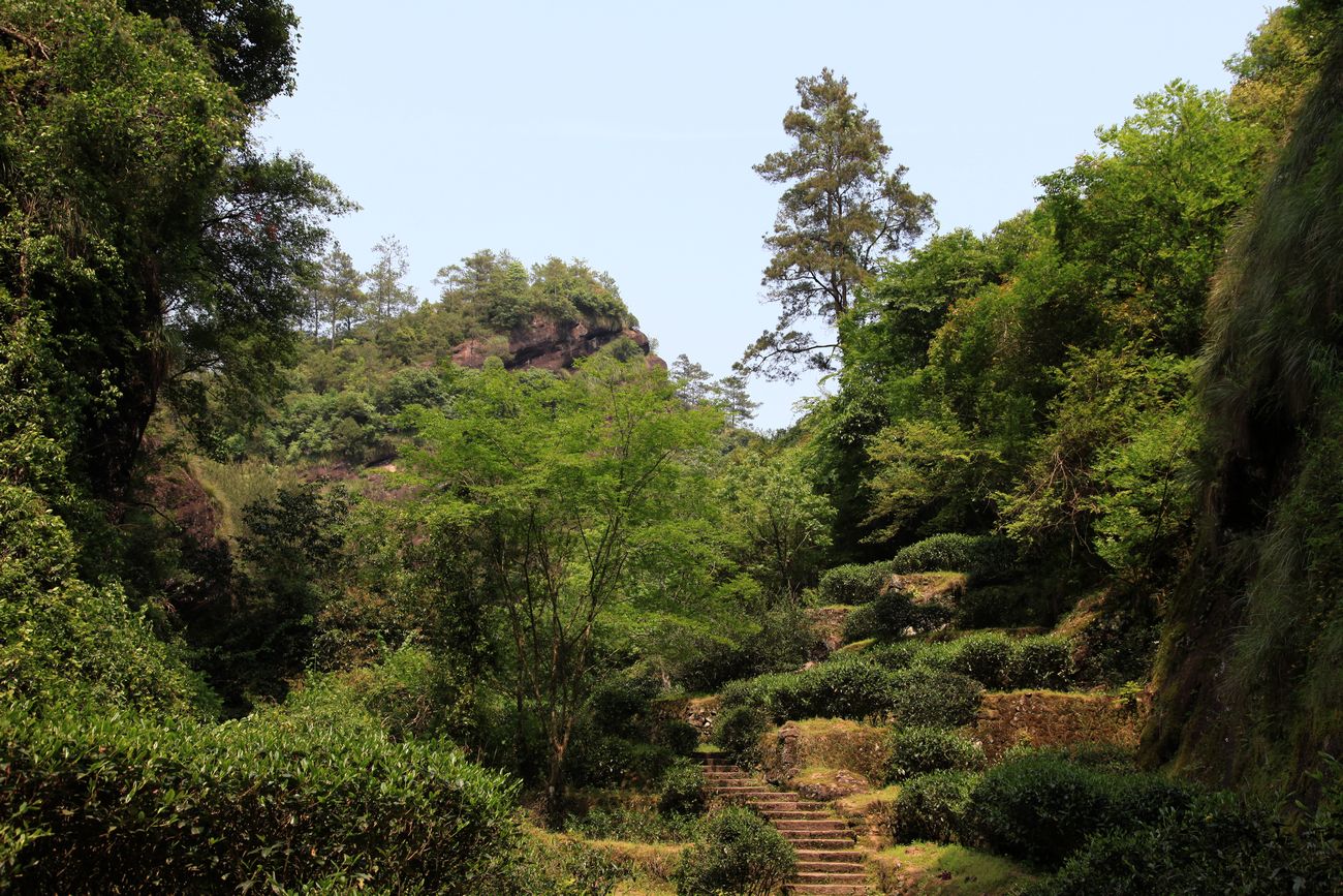 海南，厦门，武夷山 1077.jpg