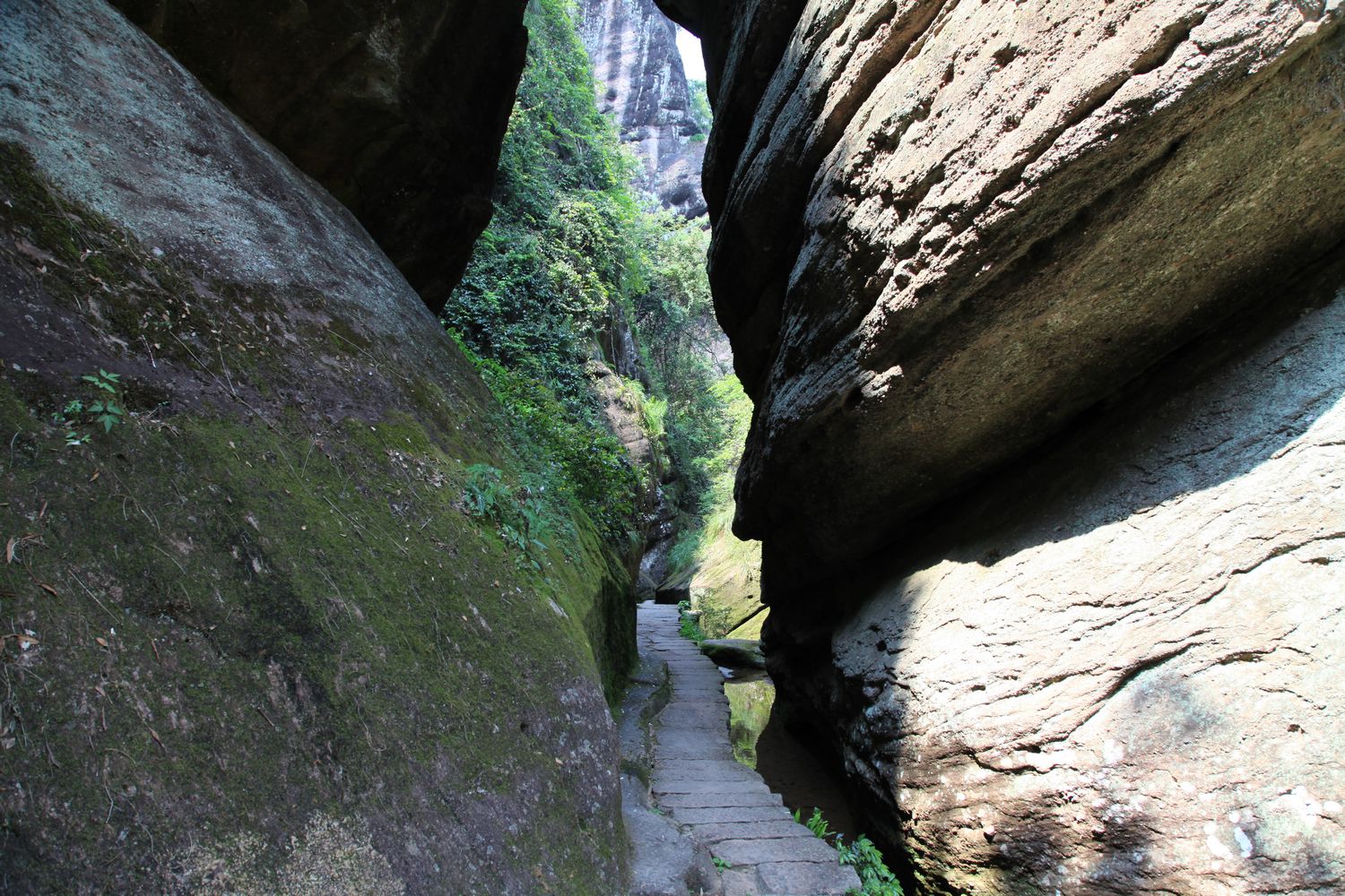 海南，厦门，武夷山 1080.jpg