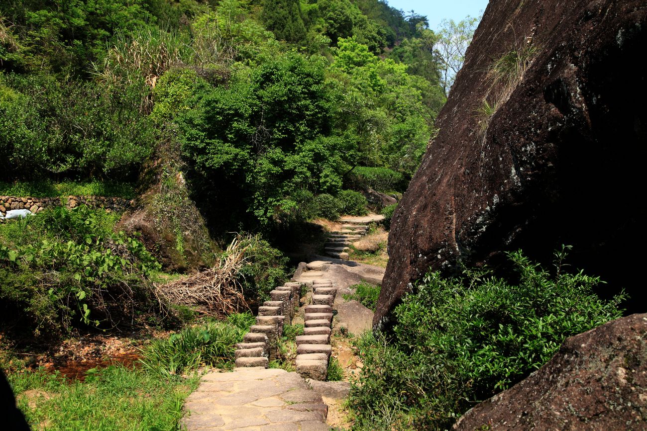 海南，厦门，武夷山 1087.jpg