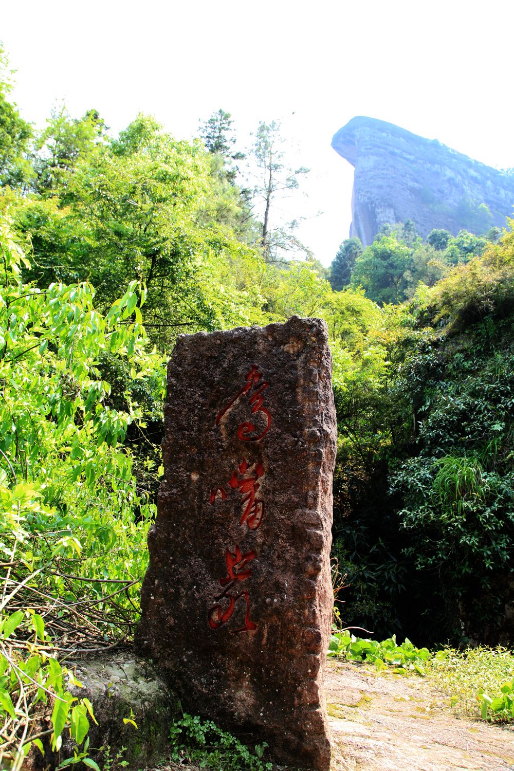 海南，厦门，武夷山 1088.jpg