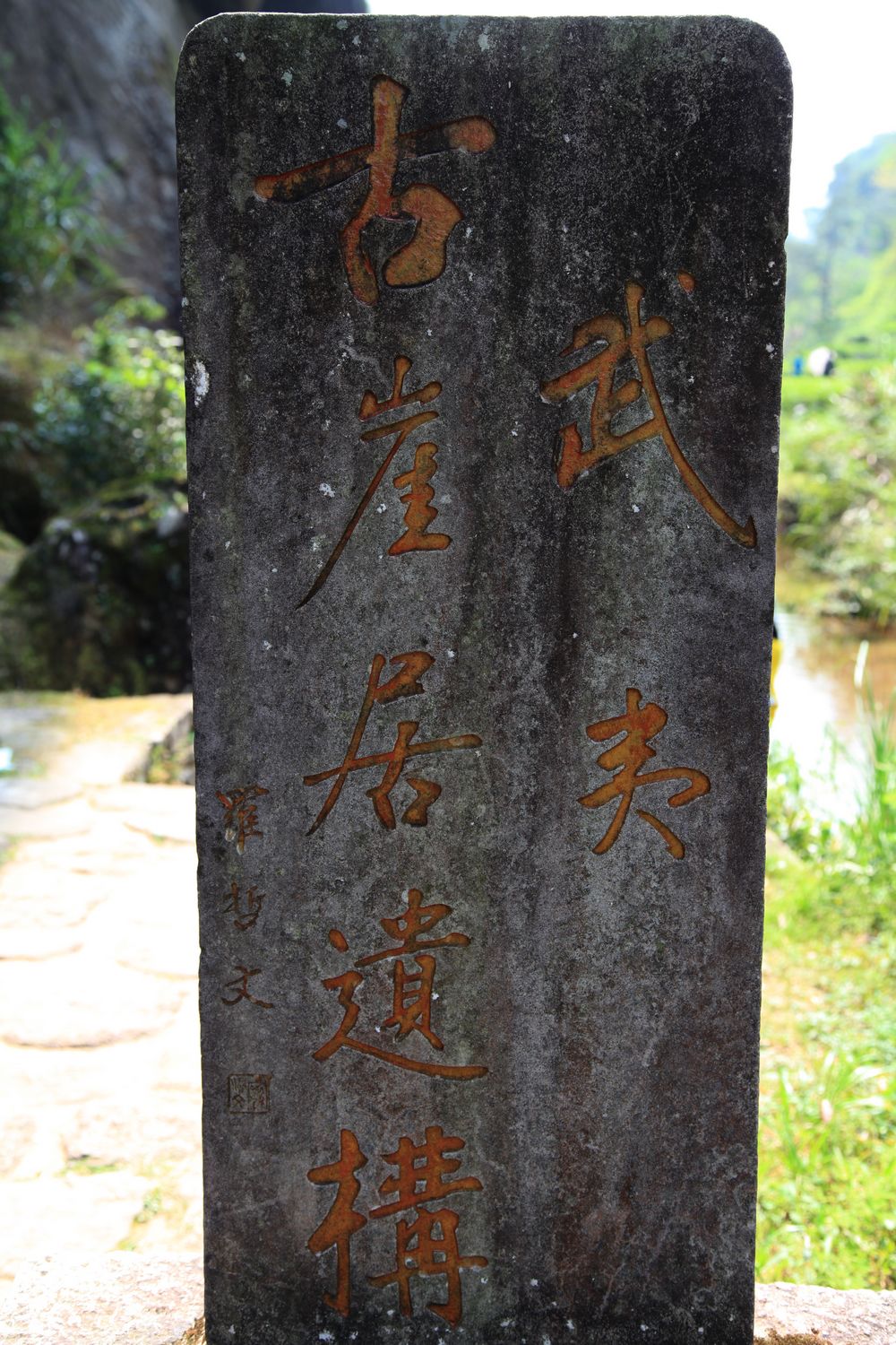 海南，厦门，武夷山 1098.jpg