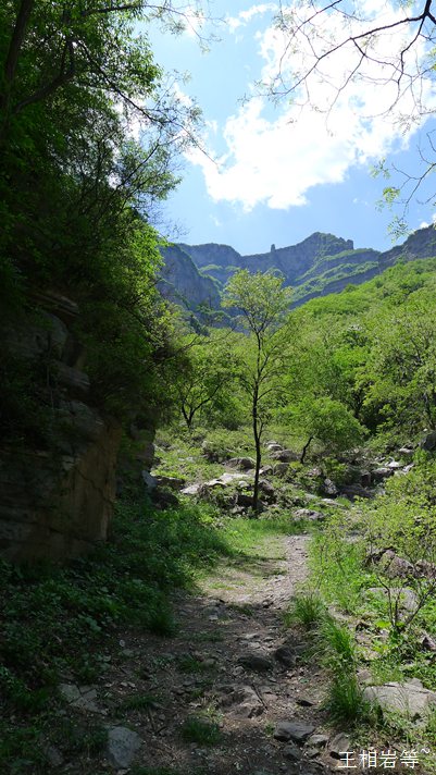 P1040741.jpg