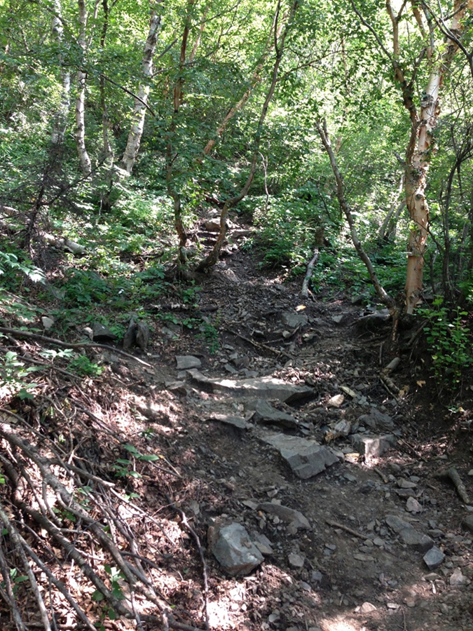 这还是不错的山路