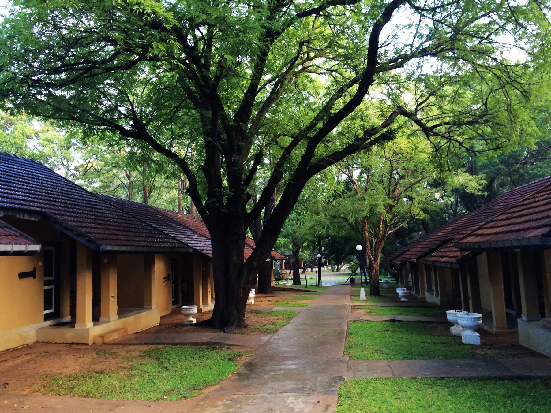 我们住的小屋