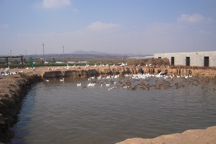 骑行高陵水库 10.jpg