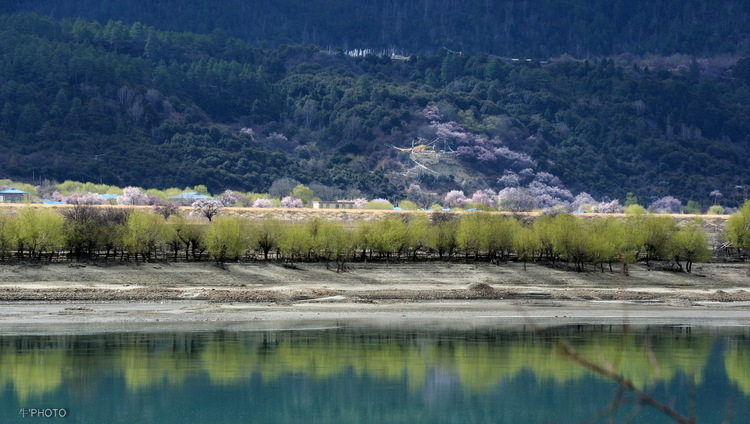 尼洋河风光.jpg