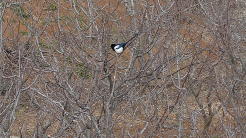 蓁山隧道 0.jpg