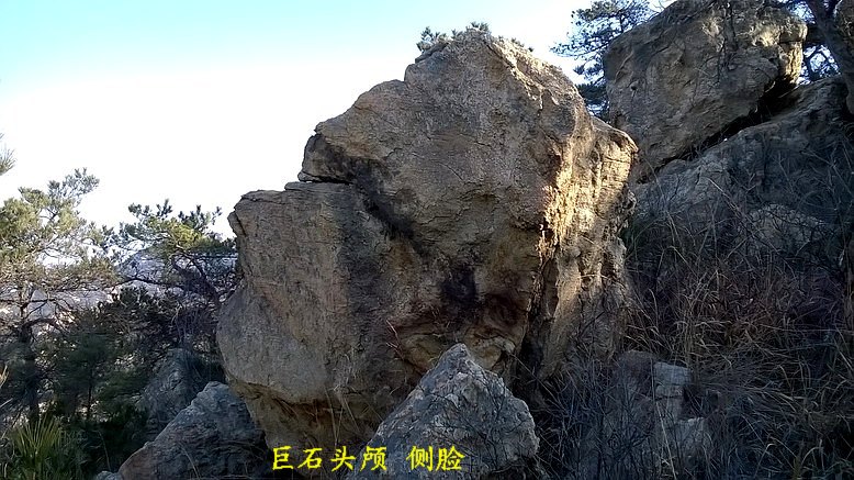 WP_20150306_08_48_06_Pro_缩小大小.jpg