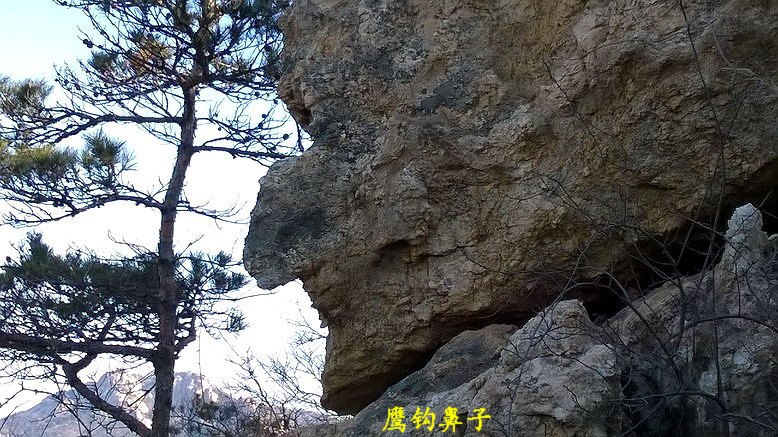 WP_20150306_08_53_07_Pro_缩小大小.jpg