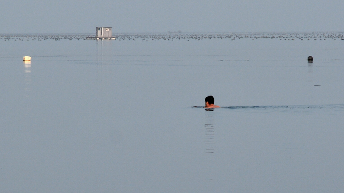 西海岸 5.jpg