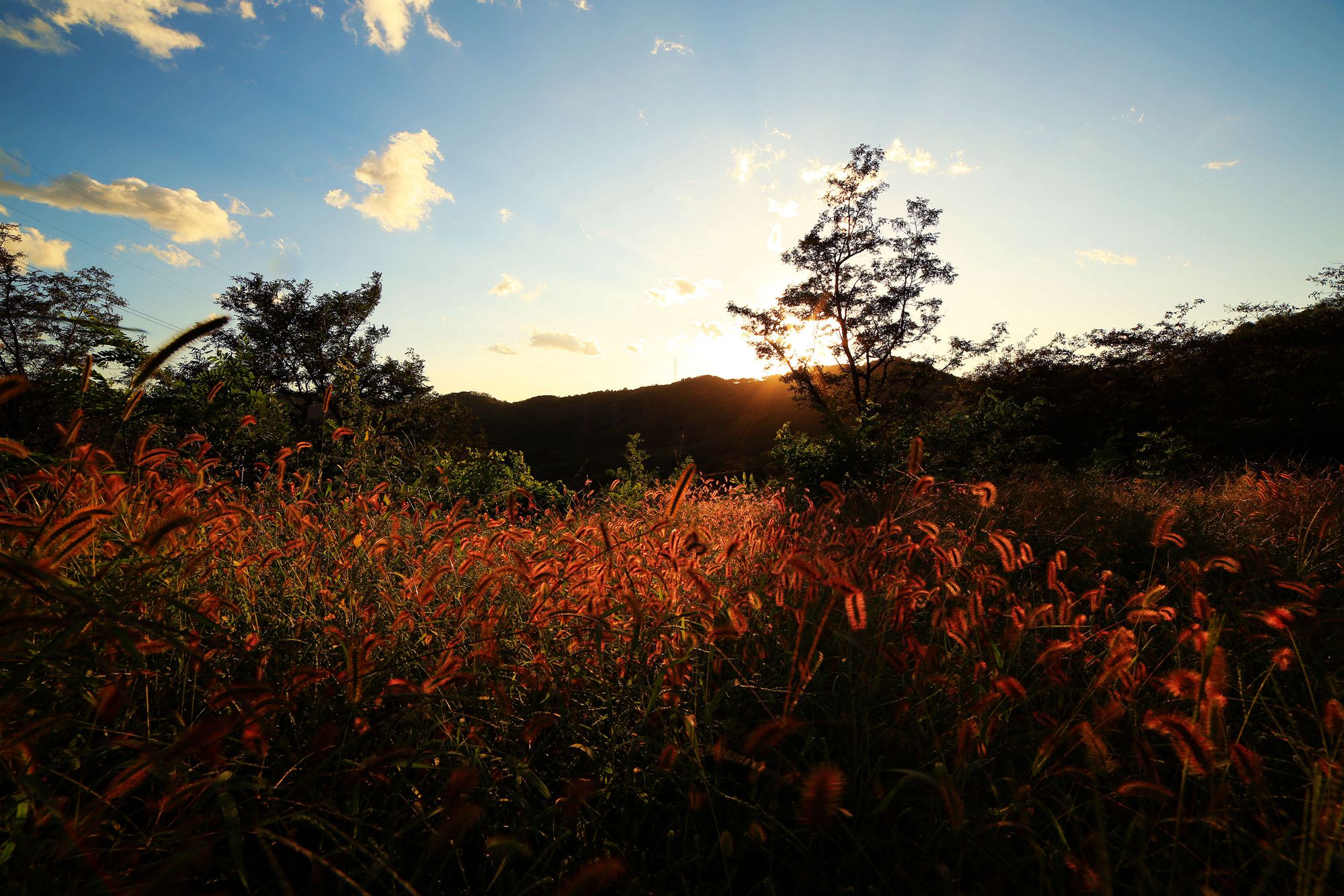 秋野10.jpg