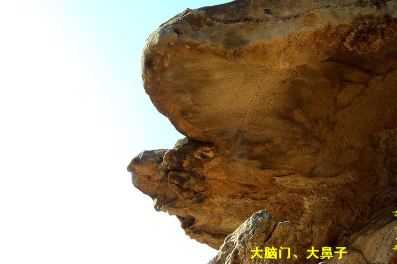 108_1172_缩小大小.JPG