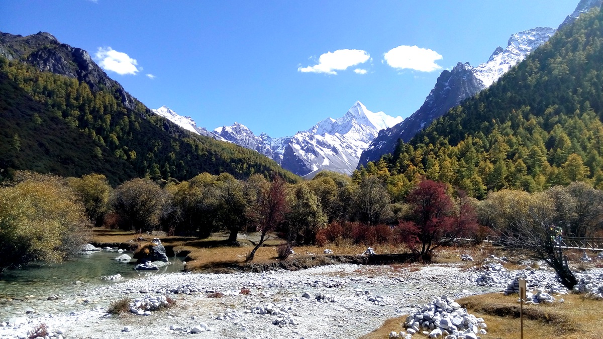 IMG_20151020_131911_副本.jpg