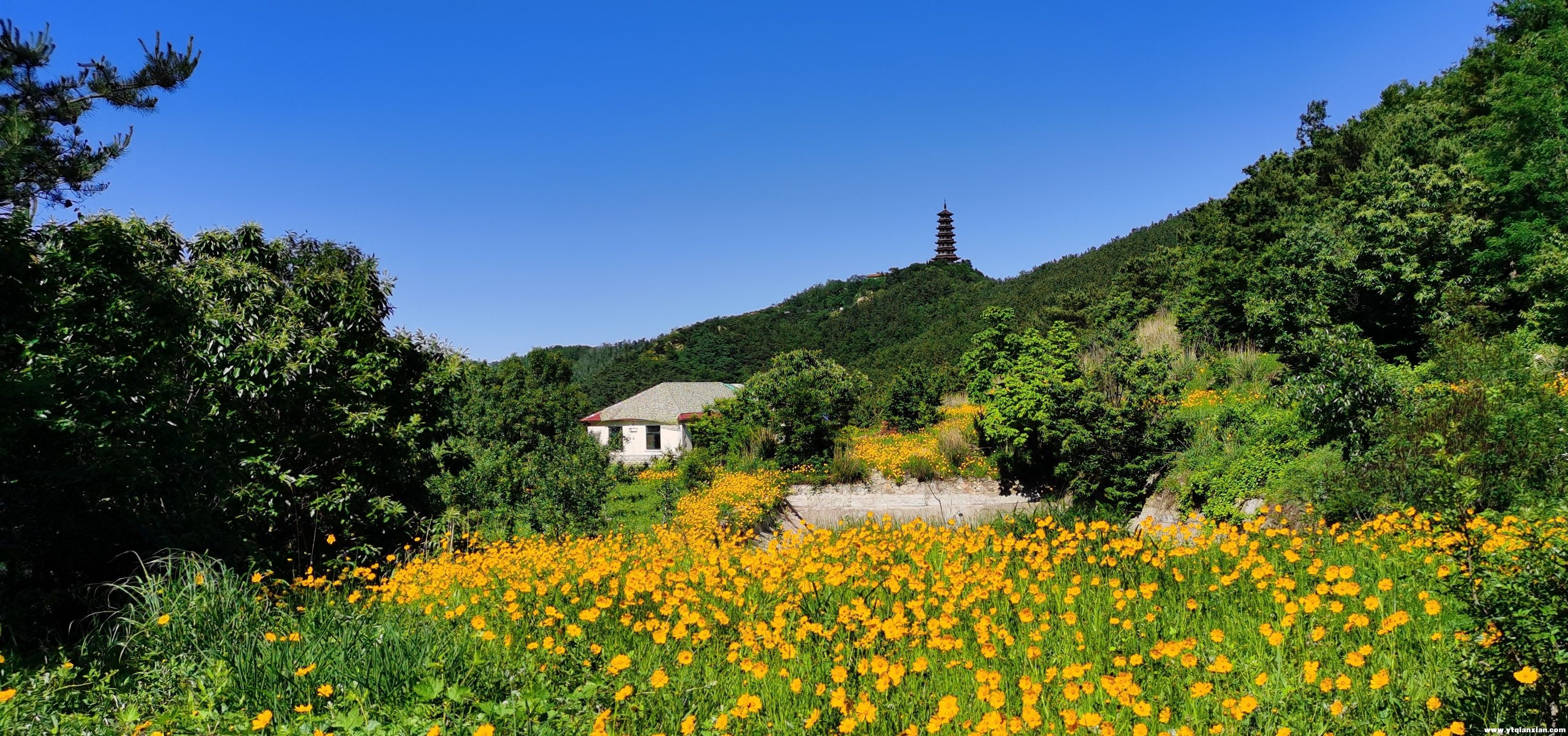 初夏的普罗旺斯1-1（2021年6月5日）.jpg