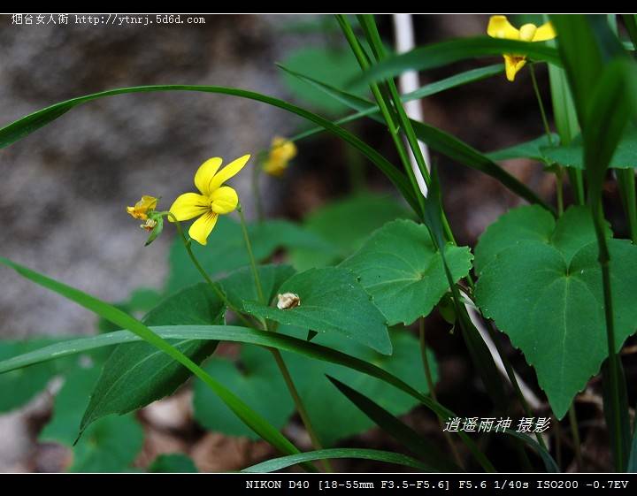 钟灵毓秀的崂山55.jpg