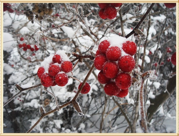 雪行昆嵛 (143).JPG