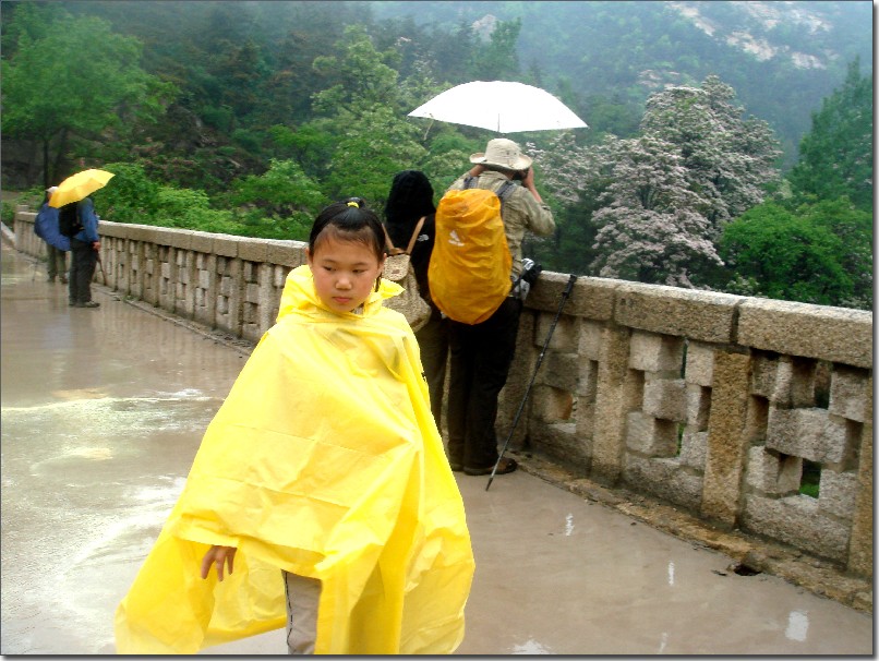 雨中昆嵛 (282).jpg