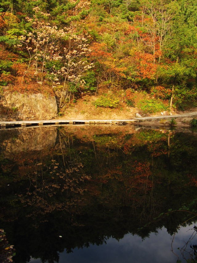 昆嵛山秋景 152.j02pg.jpg