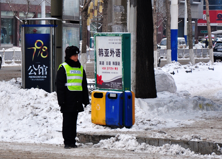 滨海路雪后2 007.jpg