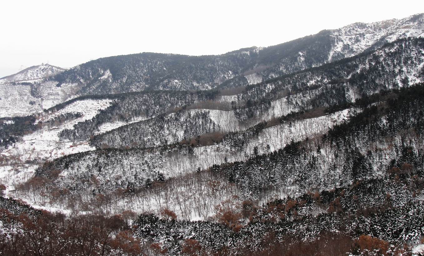 1月2日再拍大南山