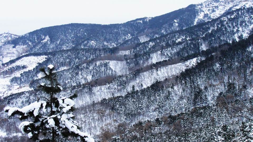 1月1日大南山