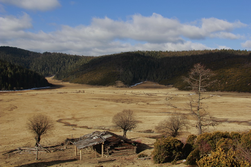 香格里拉 032-02.jpg