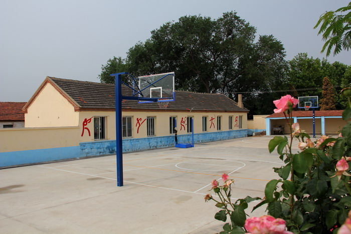 诸嘉小学 006.jpg-02.jpg