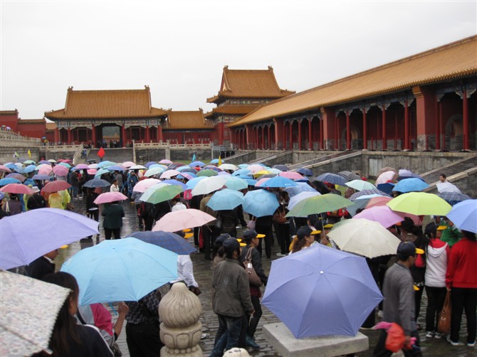 雨中观景