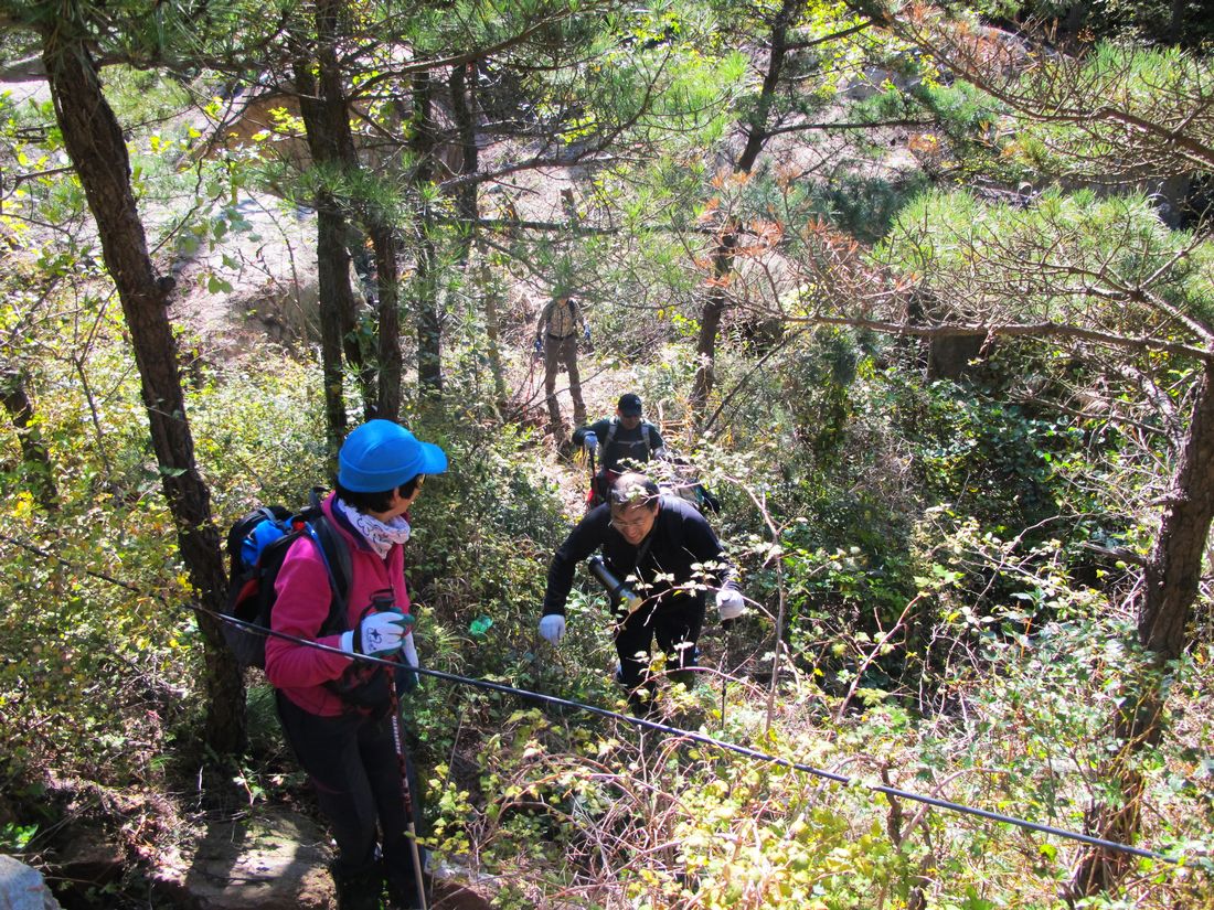 nEO_IMG_2011-10-25槎山 044.jpg